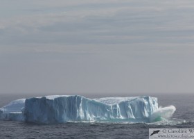Waves breaking against an iceberg, Baffin Island. (c) Caroline Weir.