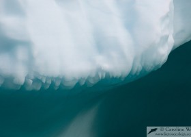 Details of an iceberg, Baffin Island. (c) Caroline Weir.