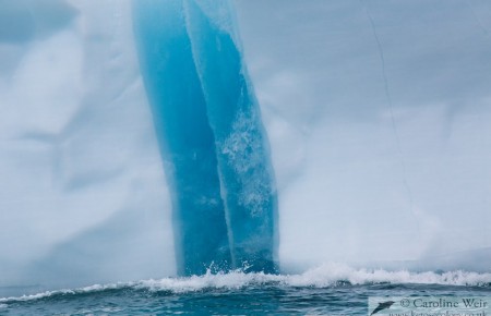 Blue and white. Iceberg at Akpait, Baffin Island. (c) Caroline Weir.