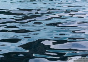 Reflections, Baffin Island. (c) Caroline Weir.