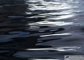 Reflection of an iceberg, Baffin Island. (c) Caroline Weir.