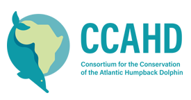 CCAHDlogo